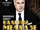 Билет на концерт Меладзе