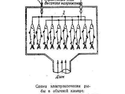 Схема электростатики для коптильни