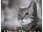 Корм для кошек Purina Pro Plan - Про План