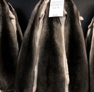 Шкурки Шиншиллы отборные, Венгерское качество люкс