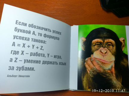 Дэвид Байрд: Жизнь - сложная штука