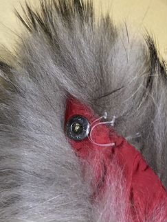 Меховой воротник Moncler