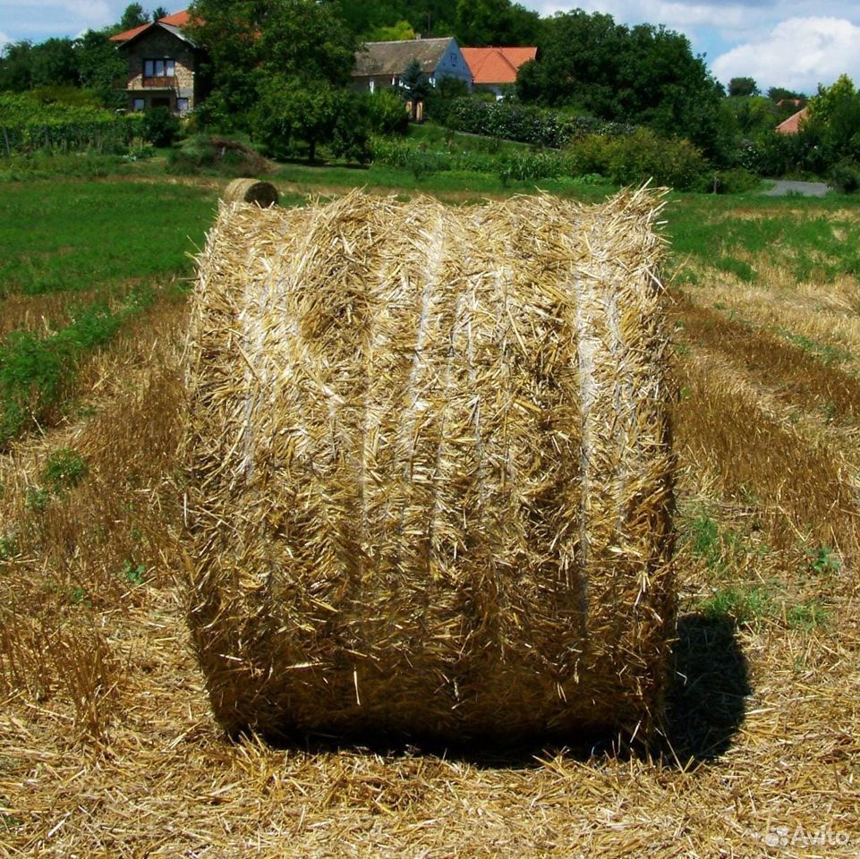 Сено кормовое
