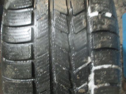 225х55х17 - 1 шина Родстоне Вингуард Спорт зимняя