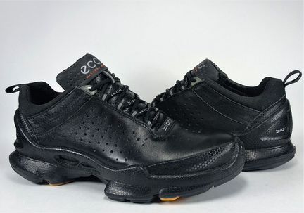 Ecco biom C