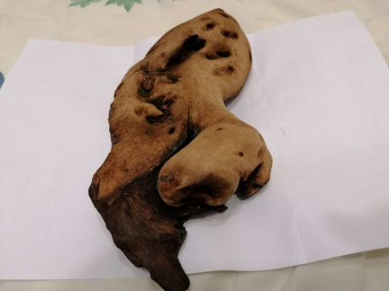 Коряги для аквариума